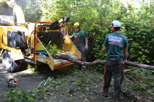 tree services Kaneville